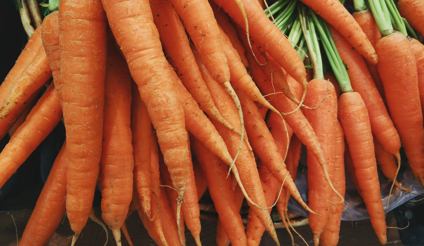 Curing Cancer with Carrots - bunch of carrots - Pic Curing Cancer with Carrots - bunch of carrots - Pic